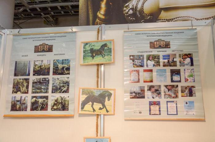 St. Petersburg Veterinary Academy: lire les avis
