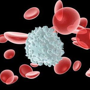 Qu'est-ce que les lymphocytes élevés disent aux enfants?
