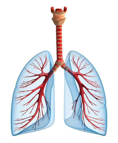 pneumonie des poumons 